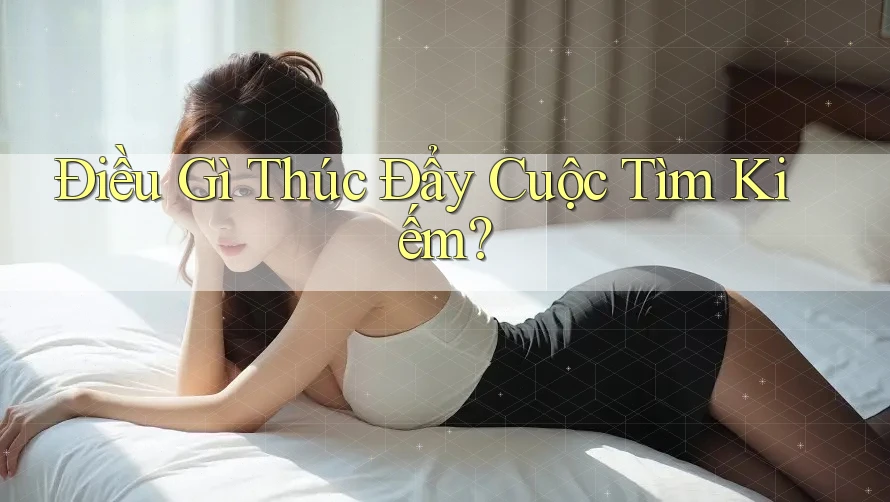 Điều Gì Thúc Đẩy Cuộc Tìm Kiếm?