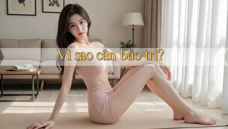Vì sao cần bảo trì?